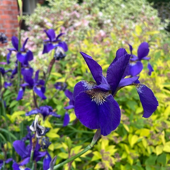 Meet your Posher, Autumn - Picture 1 of 1